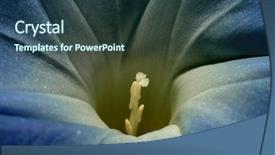  Presentation with catholic jesus glory - Colorful presentation theme enhanced with riches stars purple - morning-glory backdrop and a  colored foreground