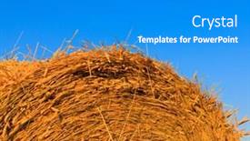  Presentation with sky blue - PPT theme having rick-over-the-bright-blue background and a cobalt blue colored foreground