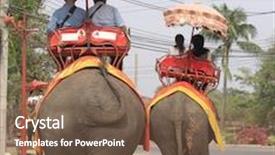  Presentation with elephants - Theme featuring ridding elephants thailand background and a violet colored foreground