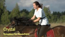  Presentation with rider - Beautiful theme featuring rider and horse backdrop and a  colored foreground