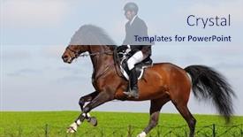  Presentation with rider - PPT theme consisting of rider in a show jumping background and a lemonade colored foreground