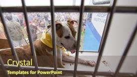  Presentation with trailer park - 