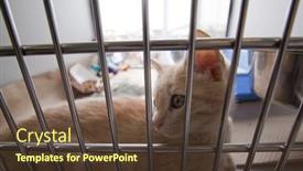  Presentation with trailer park - 