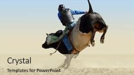  Presentation with cowboy - Theme consisting of riding a large fresian bull background and a soft green colored foreground