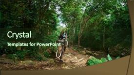  Presentation with jungle - Presentation theme having riding elephant in thai jungle background and a tawny brown colored foreground
