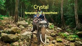  Presentation with elephant - Cool new presentation with riding elephant through thai jungle backdrop and a tawny brown colored foreground