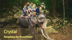  Presentation with elephant - Amazing PPT theme having riding elephant through thai jungle backdrop and a tawny brown colored foreground