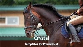  Presentation with horse riding - Slide deck with riding on dark bay horse background and a wine colored foreground