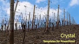  Presentation with pediatric dentistry aesthetic early education - Presentation enhanced with brilliant pink usb flash memory card with a pink bow lies on a blanket of soft and furry light pink fleece fabric classic female gift design for a memory card background and a coral colored foreground