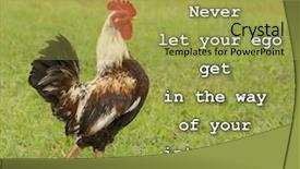  Presentation with integrity - Amazing PPT layouts having righteousness - never let your ego get backdrop and a yellow colored foreground