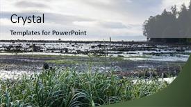  Presentation with pacific northwest - Amazing slides having rigor - rigorous northern pacific oceanic coast backdrop and a light gray colored foreground