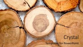  Presentation with tree rings section - Slide deck with rings and texture place background and a coral colored foreground