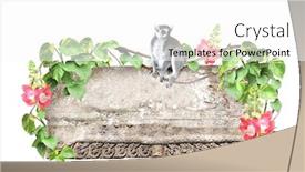  Presentation with liana - Presentation theme with ringtailed-lemur-old-stone-lianas background and a white colored foreground