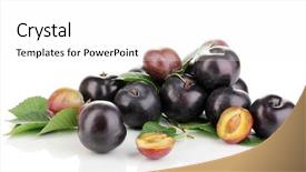  Presentation with history earth globe isolated white - Cool new slide deck with rip plums isolated on white backdrop and a  colored foreground