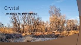 Presentation with river forest - Audience pleasing theme consisting of riparian-forest-along-the-poudre backdrop and a light blue colored foreground