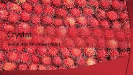  Presentation with fruit lychee - Presentation theme enhanced with ripe and delicious lychee background and a  colored foreground