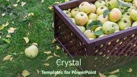  Presentation with organic - Presentation theme featuring ripe-apples-in-the-wooden background and a tawny brown colored foreground