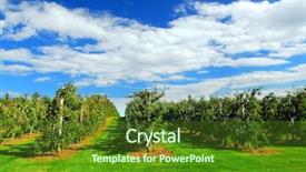  Presentation with red apple tree - Slide set featuring ripe apples on the tree background and a tawny brown colored foreground