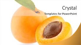  Presentation with ripe golden potato on white - PPT layouts having ripe apricot isolated on white background and a white colored foreground
