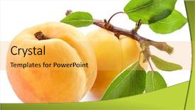  Presentation with apricot - Presentation design consisting of ripe apricots on a small background and a yellow colored foreground