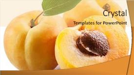  Presentation with isolated fall oak leaf - Colorful PPT theme enhanced with ripe apricots with apricot leaf backdrop and a yellow colored foreground