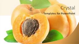  Presentation with apricot - Presentation theme featuring ripe-apricots-with-apricot-leaves background and a yellow colored foreground