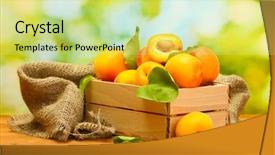  Presentation with apricot - Presentation design consisting of ripe apricots with leaves background and a yellow colored foreground