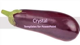  Presentation with ripe golden potato on white - Slide deck having ripe aubergine isolated on white background and a violet colored foreground