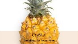  Presentation with pineapple - Colorful PPT theme enhanced with ripe-baby-pineapple-mini-pineapple backdrop and a yellow colored foreground