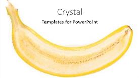  Presentation with green bananas hanging on banana - Slide set featuring ripe-bananas-isolated-on-white background and a white colored foreground