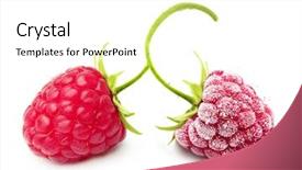  Presentation with frozen - PPT theme consisting of ripe berry raspberry and frozen background and a white colored foreground