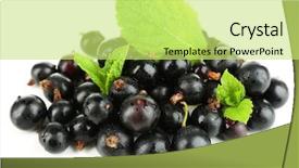  Presentation with currant - Amazing presentation design having ripe black currant isolated on white backdrop and a yellow colored foreground