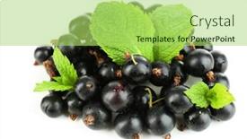  Presentation with currant - Audience pleasing slide deck consisting of ripe black currant isolated on white backdrop and a yellow colored foreground