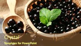 Presentation with currant - 