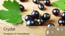  Presentation with currant black white and red - Slide deck having ripe black currants on wooden background and a  colored foreground