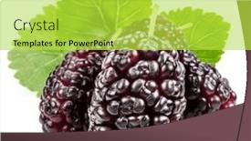  Presentation with white mulberry - Presentation design featuring ripe-black-mulberries-fruits background and a yellow colored foreground