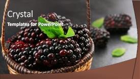  Presentation with dark green - Cool new PPT theme with ripe blackberries with green leaves in wicker basket on dark surface closeup backdrop and a dark gray colored foreground