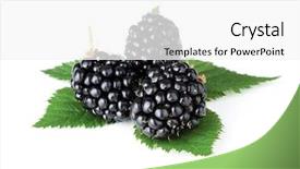  Presentation with green leaves simple - Amazing slide set having ripe blackberry fruits with green backdrop and a  colored foreground