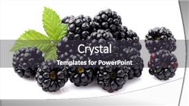  Presentation with blackberry - Presentation theme enhanced with ripe blackberry with leaves background and a dark gray colored foreground