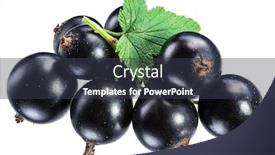  Presentation with blackcurrant - Beautiful slide deck featuring ripe-blackcurrant-branch-with-green backdrop and a dark gray colored foreground