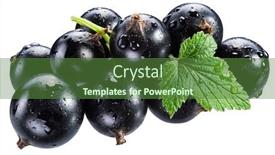  Presentation with blackcurrant - Audience pleasing presentation consisting of ripe-blackcurrant-branch-with-green backdrop and a tawny brown colored foreground