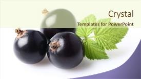  Presentation with blackcurrant - Audience pleasing presentation design consisting of ripe blackcurrant with leaf backdrop and a soft green colored foreground