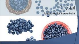  Presentation with blueberries - Presentation having ripe-blueberries-on-white-background background and a light blue colored foreground