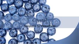  Presentation with blueberries - Audience pleasing presentation theme consisting of ripe-blueberries-on-white-background backdrop and a teal colored foreground