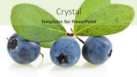 Presentation with green leaves - PPT theme featuring ripe-blueberries-with-green-leaves background and a yellow colored foreground