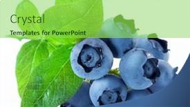  Presentation with blueberries - Theme with ripe-blueberries-with-green-leaves background and a yellow colored foreground