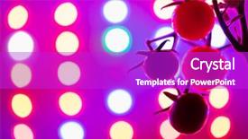  Presentation with tomato plant - PPT layouts enhanced with ripe cherry tomatoes silhouette background and a purple colored foreground