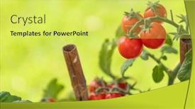  Presentation with vine - Slide set enhanced with ripe-cherry-tomatoes background and a yellow colored foreground