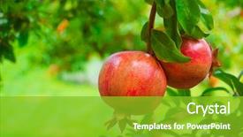  Presentation with pomegranate fruit - Cool new slide deck with ripe colorful pomegranate fruit backdrop and a shamrock green colored foreground