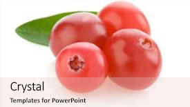  Presentation with cranberry juice - Audience pleasing slides consisting of ripe cranberry isolated on white backdrop and a lemonade colored foreground